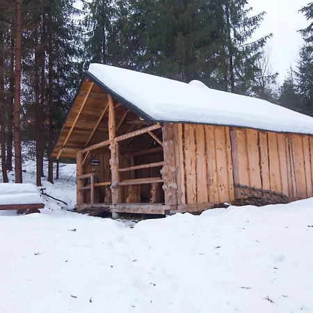 W Lesie Na Dziko Tokarzonka Camping *