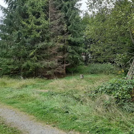 Domek w lesie na dziko Istebna Tokarzonka Kemping *