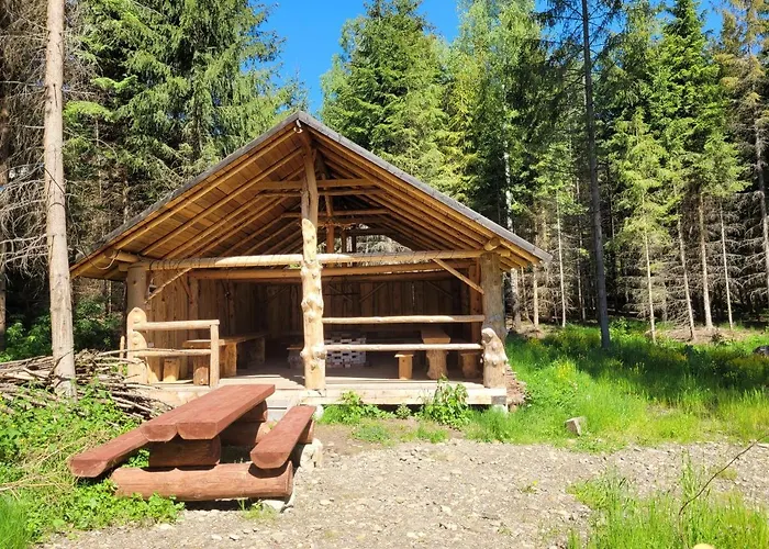 Kemp W Lesie Na Dziko Tokarzonka