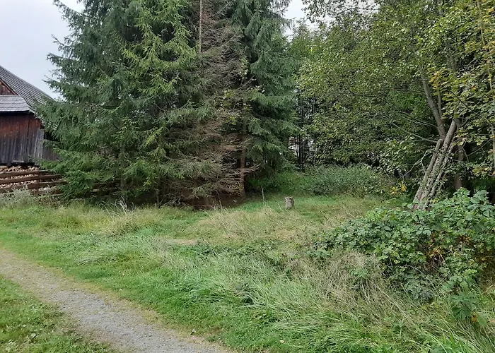 W Lesie Na Dziko Tokarzonka Kemp *